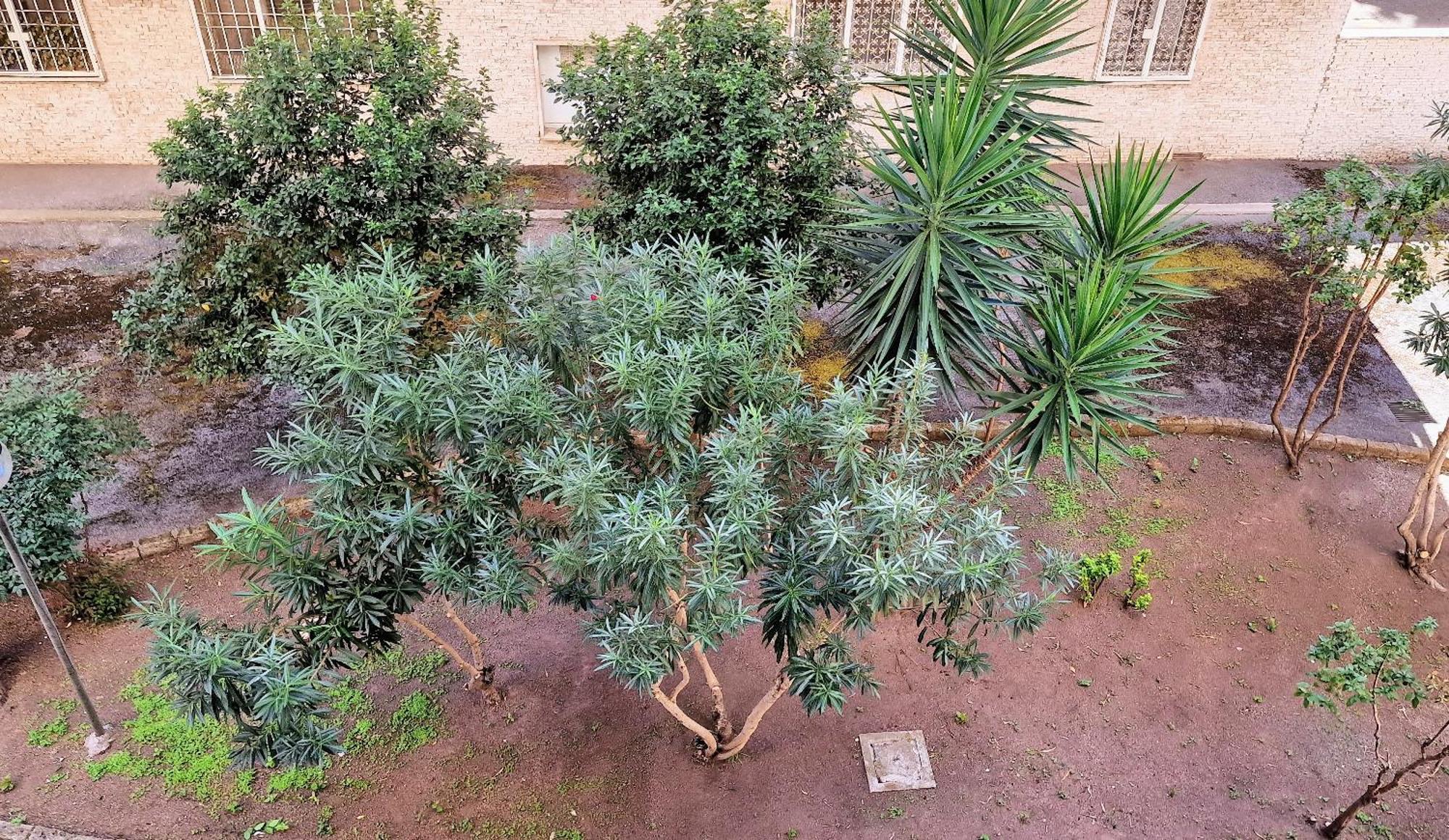 Appartamento Casa Rosi